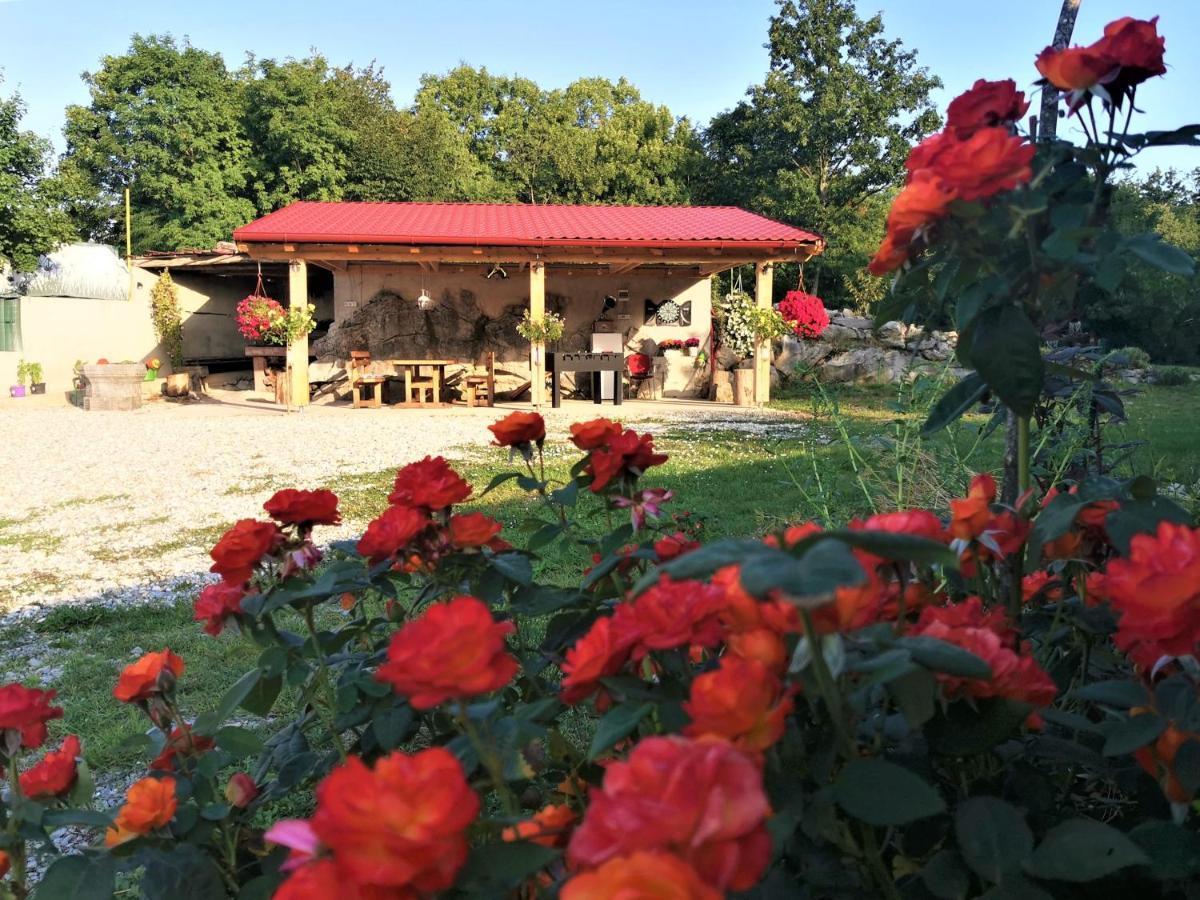 Villa Salvia - Holiday House With Pool - Jurdani Екстер'єр фото
